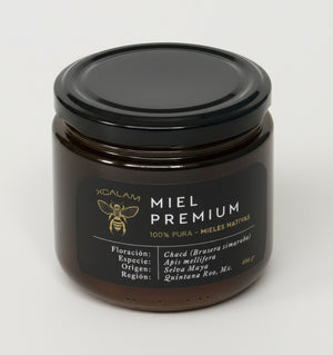 Miel de Apis - Floración Chakáah - 400gr