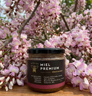 Apis Honey - Cocuite Flowering 400gr