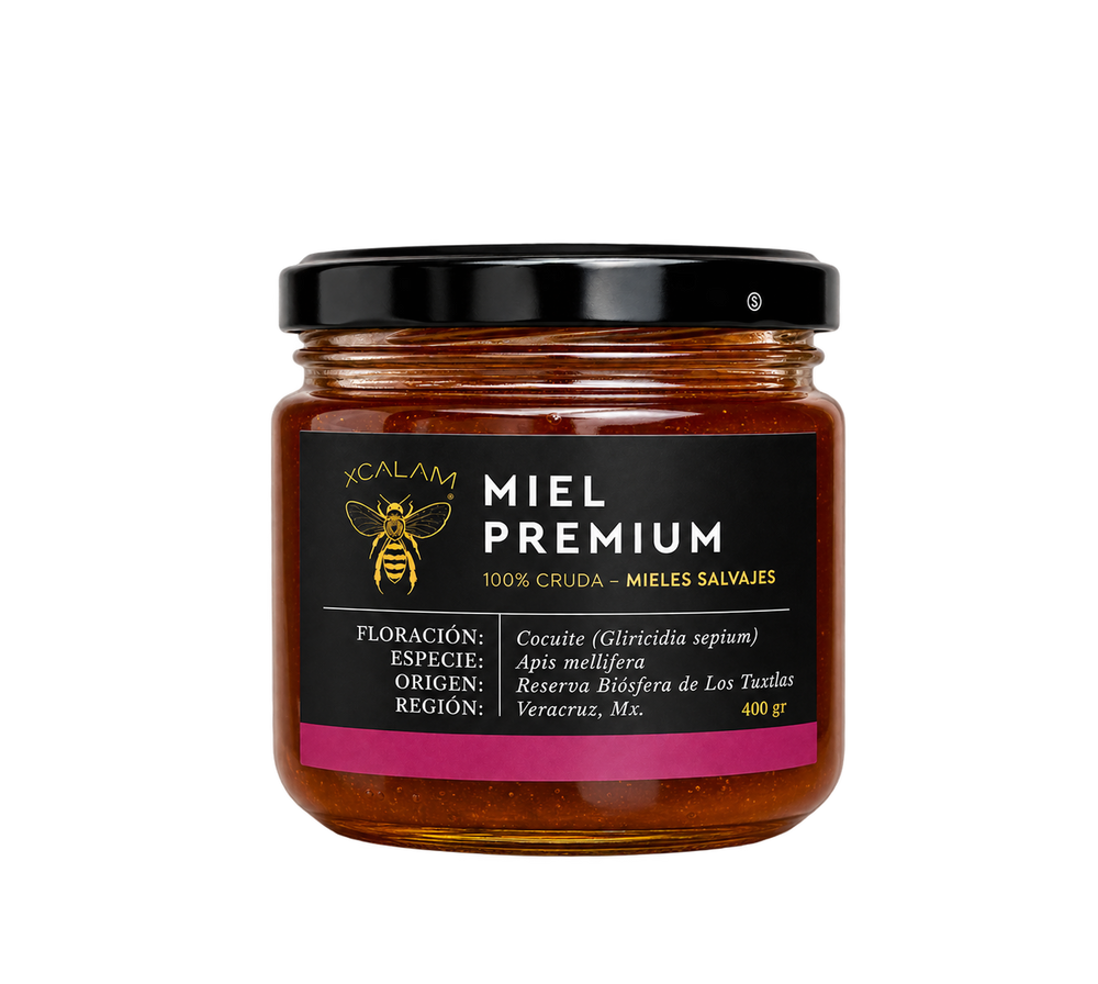 Miel de Apis - Floración Cocuite 400g