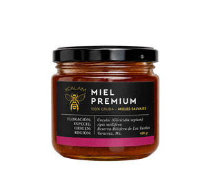 Miel de Apis - Floración Cocuite 400g