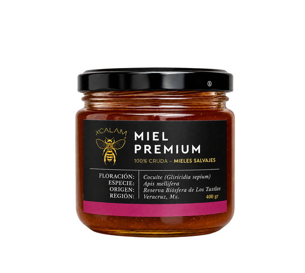 Miel de Apis - Floración Cocuite 400g