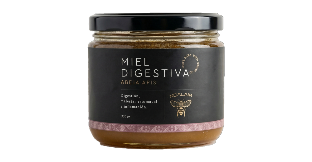 Miel Apis Funcional - Digestiva - 400gr