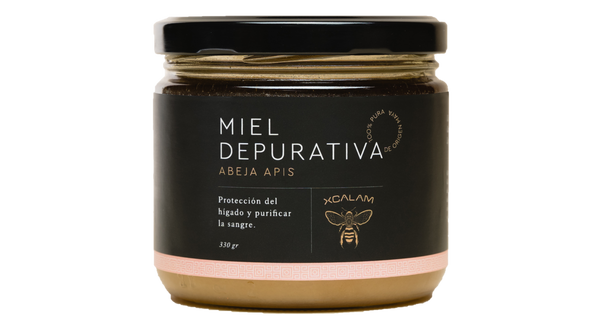 Apis Functional Depurativa 400gr