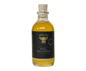 Melipona beecheii Honey - 80gr