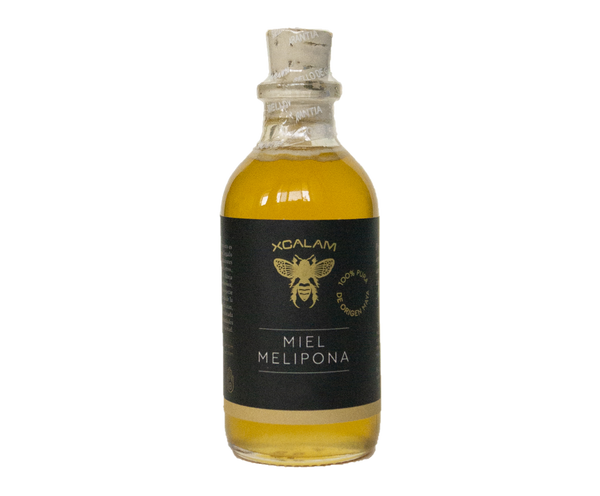 Melipona beecheii Honey - 80gr