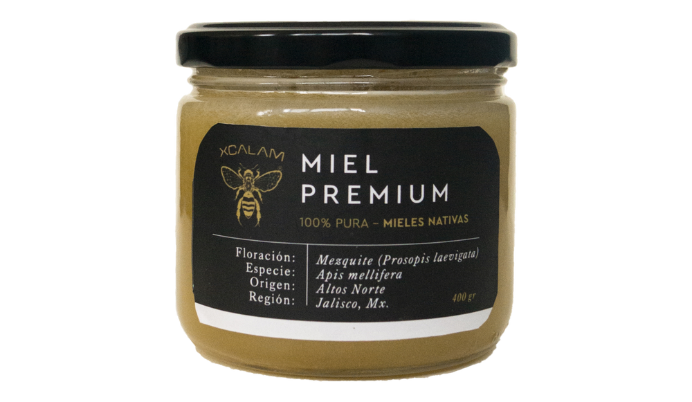 Apis Honey - Mezquite Flowering 400gr