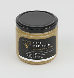 Miel de Apis - Mezquite Floración - 400gr