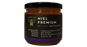 Apis Honey - Campanita Flowering 400gr