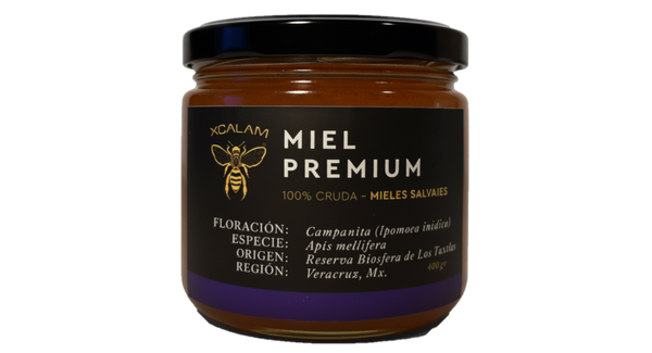 Apis Honey - Campanita Flowering 400gr