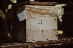 Miel Melipona beecheii - 80gr