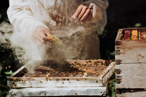 Apis Honey - Chakáah Flowering 400gr