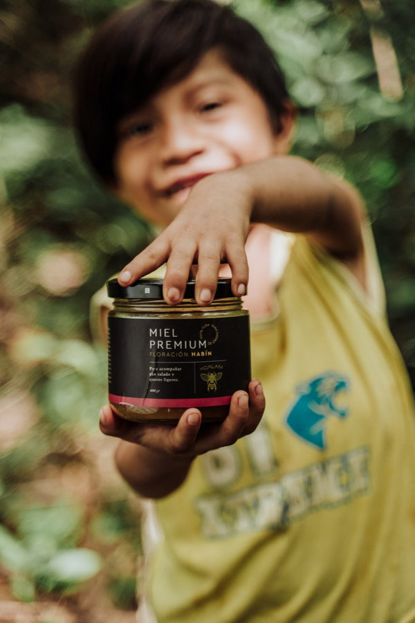 Apis Honey - Habín Flowering 400gr