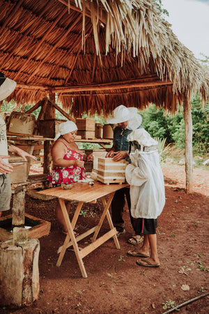 Miel Melipona beecheii - 80gr