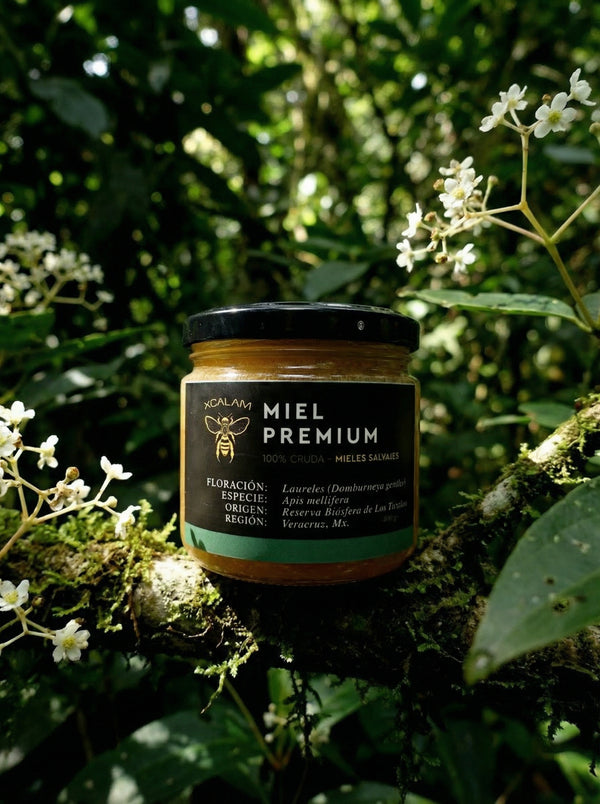 Apis Honey - Laureles Flowering 400gr