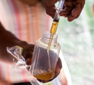 Miel Melipona beecheii - 80gr