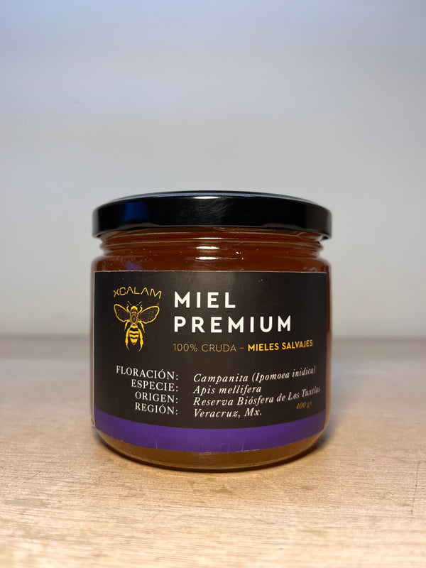 Apis Honey - Campanita Flowering 400gr