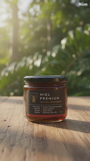 Miel de Apis - Floración Habín - 400gr