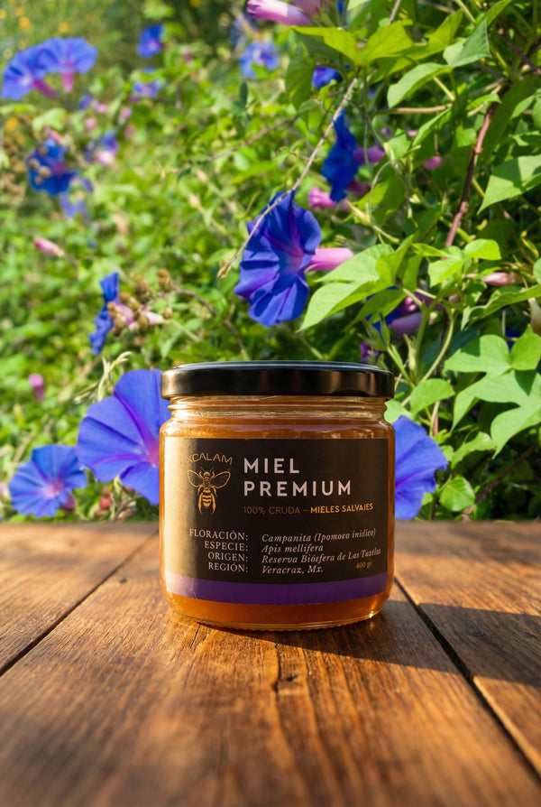 Apis Honey - Campanita Flowering 400gr