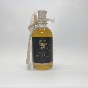 Miel de Abeja Melipona beecheii – 80g.