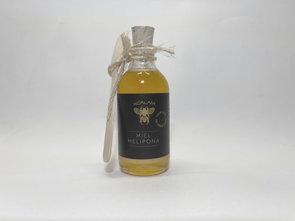 Miel de Abeja Melipona beecheii – 80g.